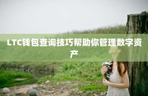 LTC钱包查询技巧帮助你管理数字资产
