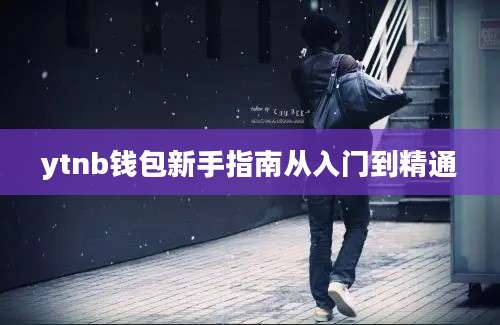 ytnb钱包新手指南从入门到精通