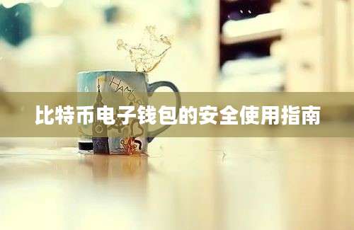 比特币电子钱包的安全使用指南