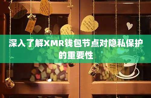 深入了解XMR钱包节点对隐私保护的重要性