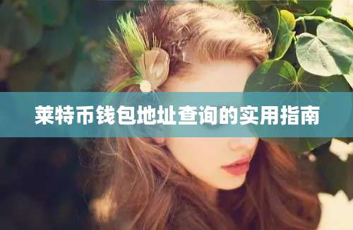 莱特币钱包地址查询的实用指南