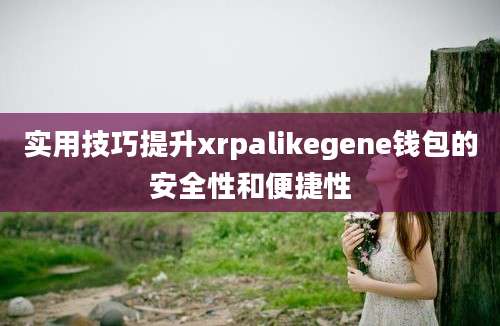 实用技巧提升xrpalikegene钱包的安全性和便捷性