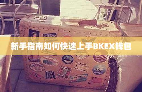 新手指南如何快速上手BKEX钱包