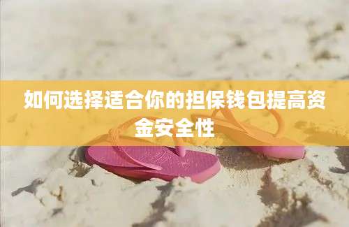 如何选择适合你的担保钱包提高资金安全性