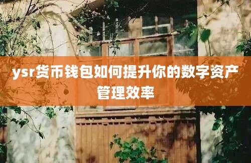 ysr货币钱包如何提升你的数字资产管理效率