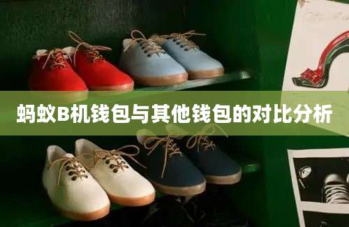 蚂蚁B机钱包与其他钱包的对比分析