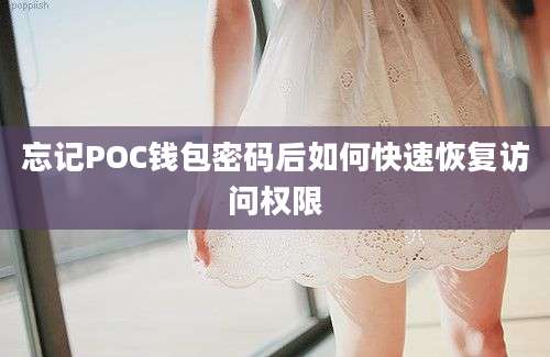 忘记POC钱包密码后如何快速恢复访问权限