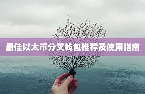 最佳以太币分叉钱包推荐及使用指南