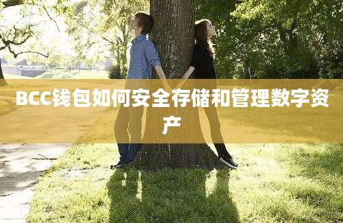 BCC钱包如何安全存储和管理数字资产