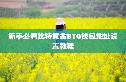 新手必看比特黄金BTG钱包地址设置教程