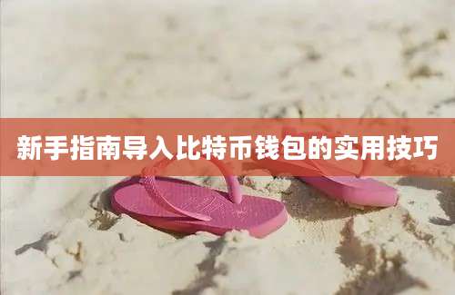 新手指南导入比特币钱包的实用技巧