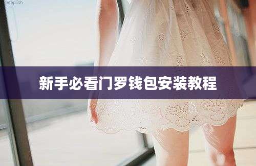 新手必看门罗钱包安装教程