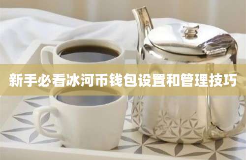 新手必看冰河币钱包设置和管理技巧