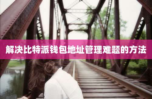 解决比特派钱包地址管理难题的方法
