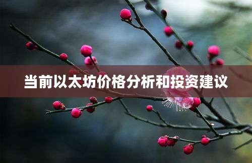 当前以太坊价格分析和投资建议