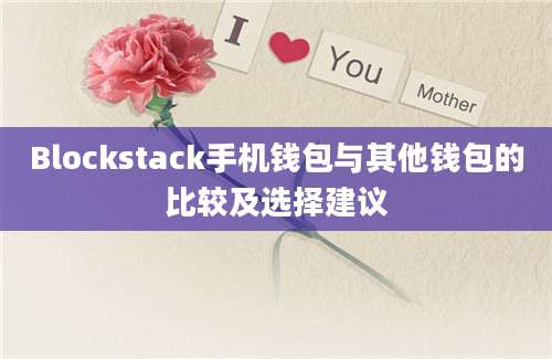 Blockstack手机钱包与其他钱包的比较及选择建议
