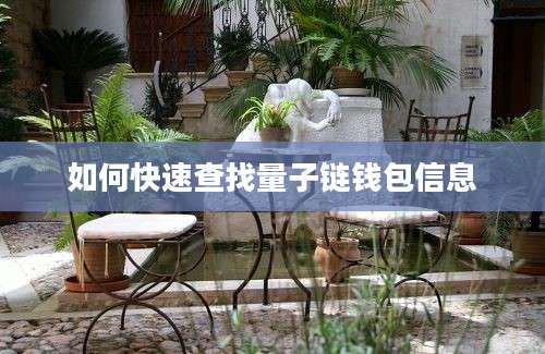 如何快速查找量子链钱包信息