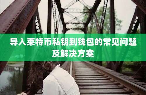 导入莱特币私钥到钱包的常见问题及解决方案