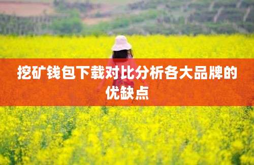 挖矿钱包下载对比分析各大品牌的优缺点