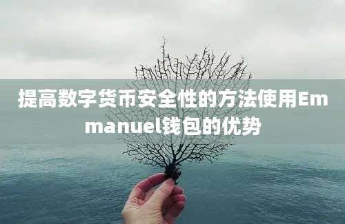 提高数字货币安全性的方法使用Emmanuel钱包的优势