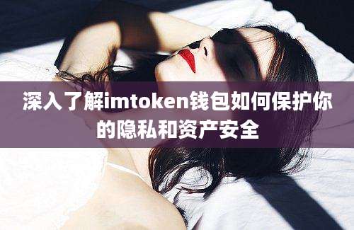 深入了解imtoken钱包如何保护你的隐私和资产安全