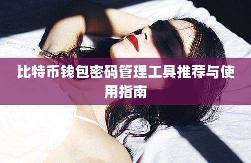 比特币钱包密码管理工具推荐与使用指南