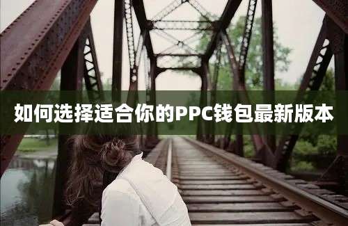 如何选择适合你的PPC钱包最新版本