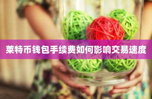 莱特币钱包手续费如何影响交易速度