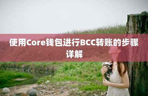 使用Core钱包进行BCC转账的步骤详解