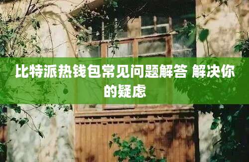 比特派热钱包常见问题解答 解决你的疑虑