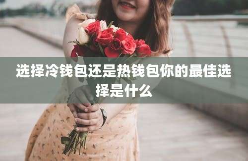 选择冷钱包还是热钱包你的最佳选择是什么