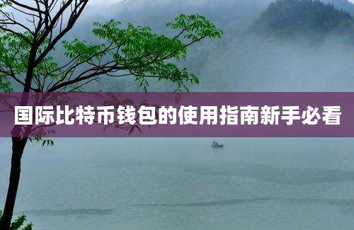 国际比特币钱包的使用指南新手必看