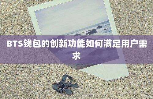 BTS钱包的创新功能如何满足用户需求