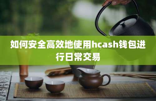 如何安全高效地使用hcash钱包进行日常交易