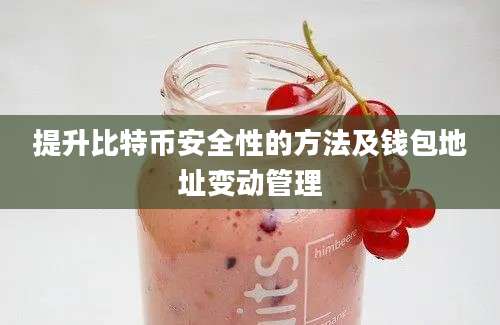 提升比特币安全性的方法及钱包地址变动管理