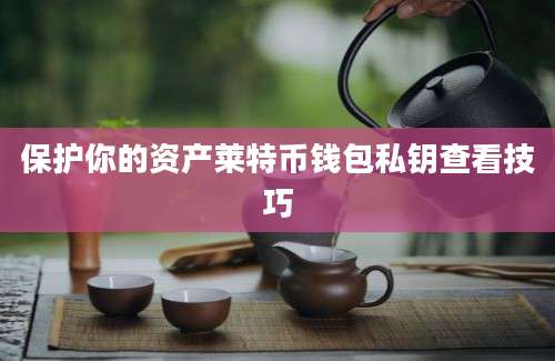保护你的资产莱特币钱包私钥查看技巧