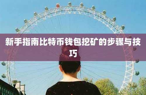 新手指南比特币钱包挖矿的步骤与技巧