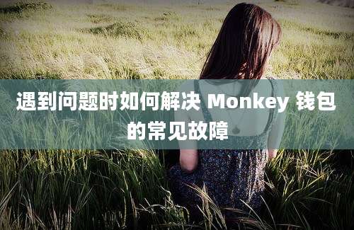 遇到问题时如何解决 Monkey 钱包的常见故障