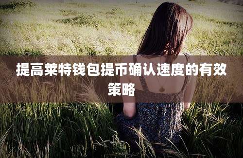 提高莱特钱包提币确认速度的有效策略