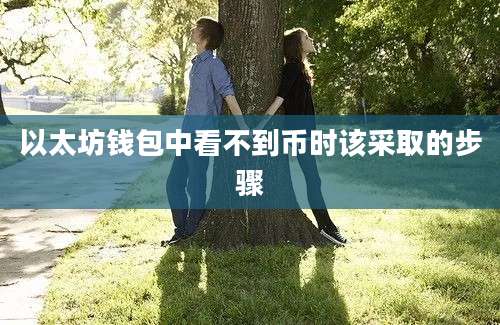 以太坊钱包中看不到币时该采取的步骤