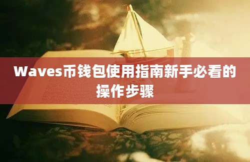 Waves币钱包使用指南新手必看的操作步骤