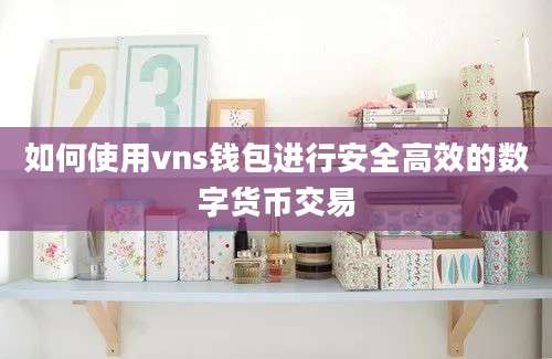 如何使用vns钱包进行安全高效的数字货币交易