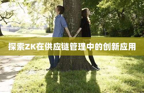 探索ZK在供应链管理中的创新应用