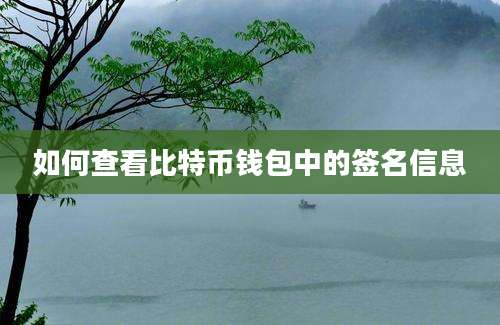 如何查看比特币钱包中的签名信息