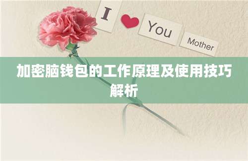 加密脑钱包的工作原理及使用技巧解析
