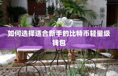 如何选择适合新手的比特币轻量级钱包
