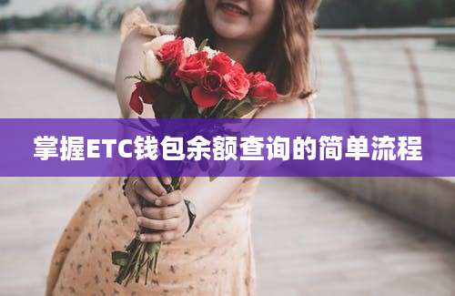 掌握ETC钱包余额查询的简单流程