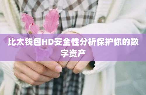 比太钱包HD安全性分析保护你的数字资产