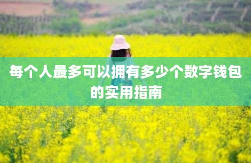每个人最多可以拥有多少个数字钱包的实用指南
