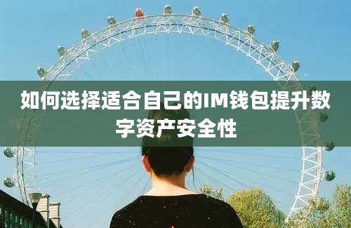 如何选择适合自己的IM钱包提升数字资产安全性